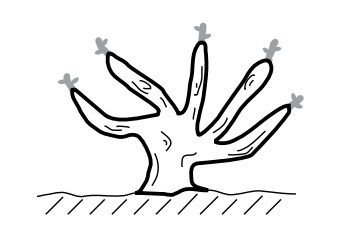 2014 種類概論 S7.jpg